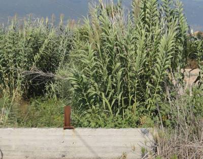 Καθαρισμούς ρεμάτων εξαγγέλλει ο Τατούλης