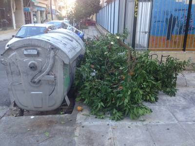 Κλαδέματα στο πεζοδρόμιο