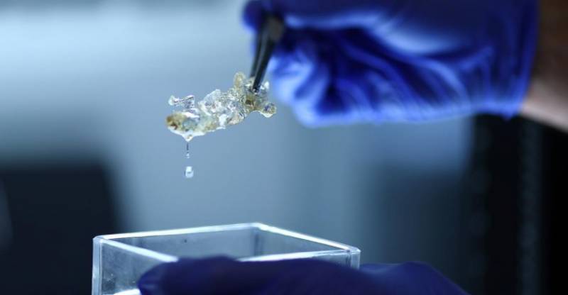 Επιστήμονες στη Γερμανία δημιούργησαν διαφανή ανθρώπινα όργανα