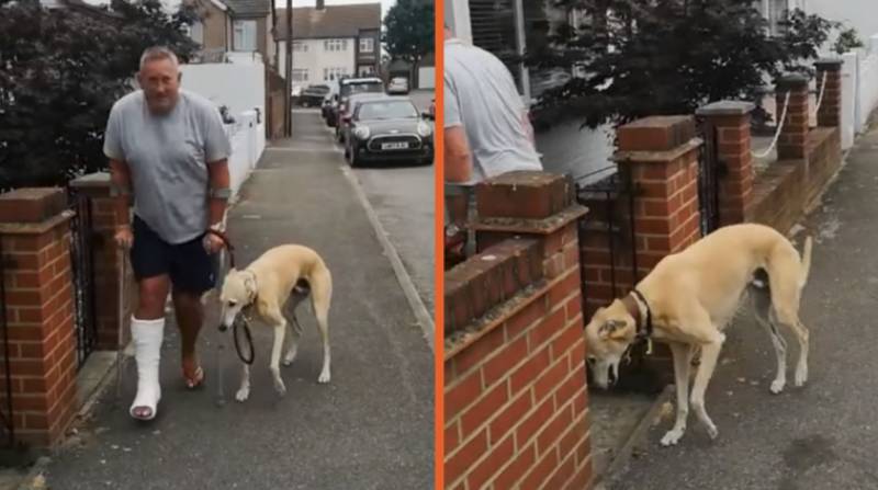 Σκύλος προσποιείται πως κουτσαίνει συμπάσχοντας με τον ιδιοκτήτη του (Βίντεο)
