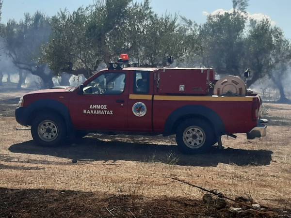 Μεσσηνία: Κάηκαν 20 στρέμματα ελιές στο Αριοχώρι