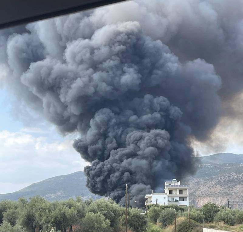 Καλαμάτα: Μεγάλη πυρκαγιά στην Αγία Τριάδα - Πιθανόν ξεκίνησε από ρευματοκλοπή (βίντεο)