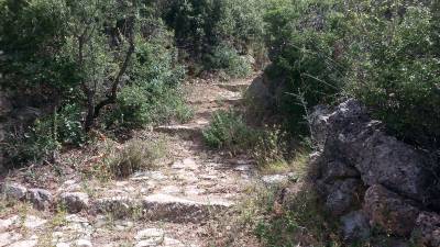 Τα καλντερίμια της Βέργας