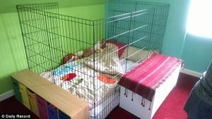 10χρονο κορίτσι κοιμάται σε κλουβί για σκύλους επειδή δεν εγκρίνουν κονδύλι για ειδικό κρεβάτι