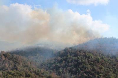 Υπό έλεγχο φωτιά στο Δερβένι Μεγαλόπολης