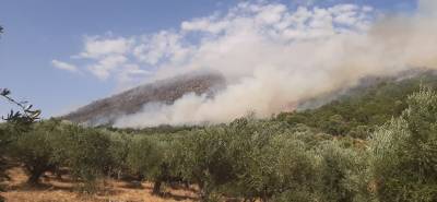 Μεσσηνία: Οι φλόγες καίνε ακόμα στον Μαγκλαβά - Δυσαρέσκεια για την απουσία εναέριων μέσων