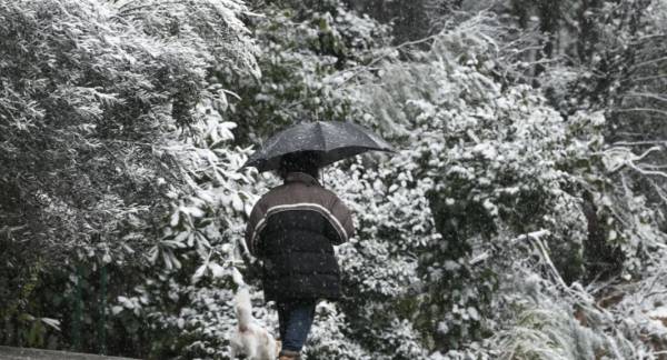 Αρναούτογλου: Μια «πρώτη, πολύ γενική εκτίμηση» για τον χειμώνα που έρχεται και τις χιονοπτώσεις