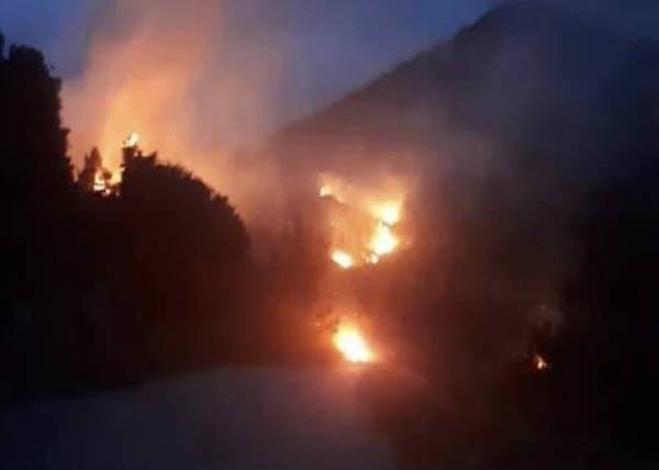 Μεσσηνία: Πυρκαγιά ανάμεσα σε Πλατάνια, Αυλώνα και Κεφαλόβρυση