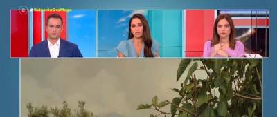 Ηλεία: Τεράστια καταστροφή για στους ελαιοπαραγωγούς (Βίντεο)