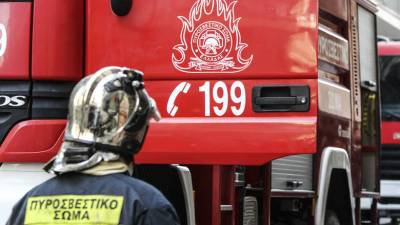 Κόρινθος: Πελώριο δέντρο ξεριζώθηκε και έπεσε στον κήπο νηπιαγωγείου (φωτο)