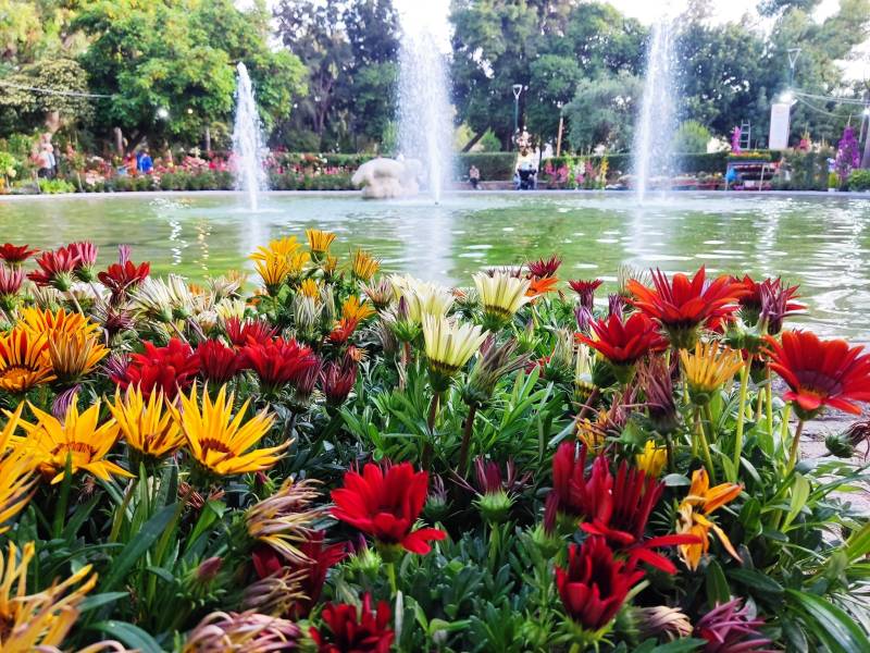 Προετοιμασία για την 13η Ανθοκομική Εκθεση Καλαμάτας