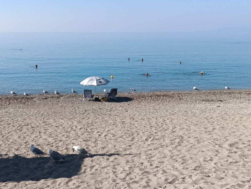 Απολαυστική θάλασσα για λουόμενους και... γλάρους
