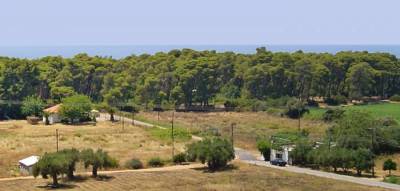 Τριφυλία: Ζητούν χώρο για κατασκήνωση στο δάσος Ελαίας