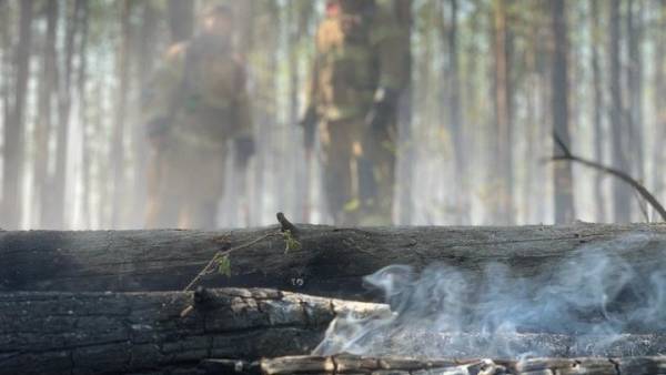 Eπιδεινώνονται oι πυρκαγιές στη Σιβηρία - O καπνός φτάνει στον Βόρειο Πόλο