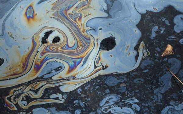 Αφθονα πετρελαιοφάγα μικρόβια βρέθηκαν στην Τάφρο των Μαριανών