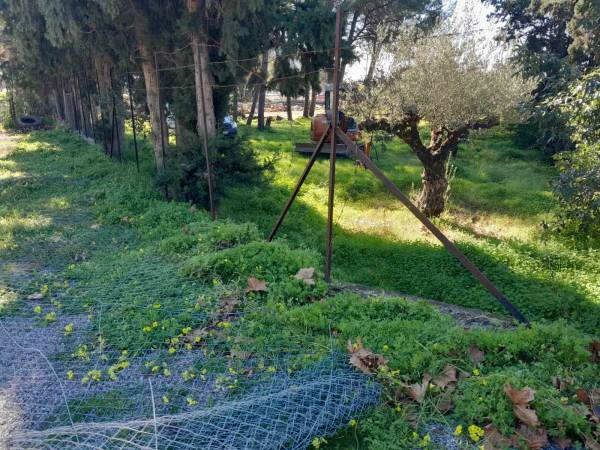 Καλαμάτα: Κουτραφούρης για την κατασκευή του πάρκου ελιάς