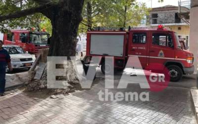 Εύβοια: Νεκρή από αναθυμιάσεις 90χρονη στα Πολιτικά (Βίντεο)