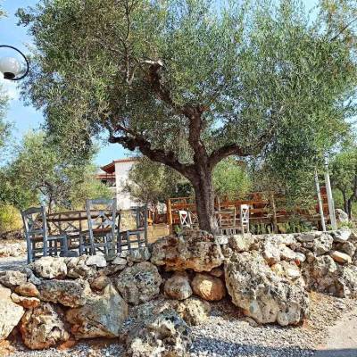 Τα παραμύθια του Μοριά πνίγονται στο λάδι της Κρήτη
