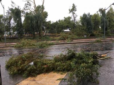Σφοδρή κακοκαιρία έπληξε την Καλαμάτα - Πτώσεις δέντρων και καταστροφές (Βίντεο+φωτογραφίες)