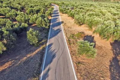 Μεσσηνία: Επικίνδυνες καταστάσεις με “κοντράκηδες” Ρομά sτην εθνική οδό από Θουρία έως Άγιο Φλώρο