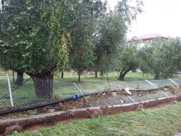 Πλημμύρισαν ξανά καλλιέργειες στο Κουτσουβέρι Γαργαλιάνων