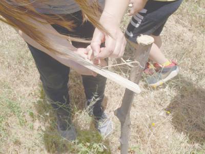 Σαββατοκύριακο δεντροφύτευσης στην Αλαγονία