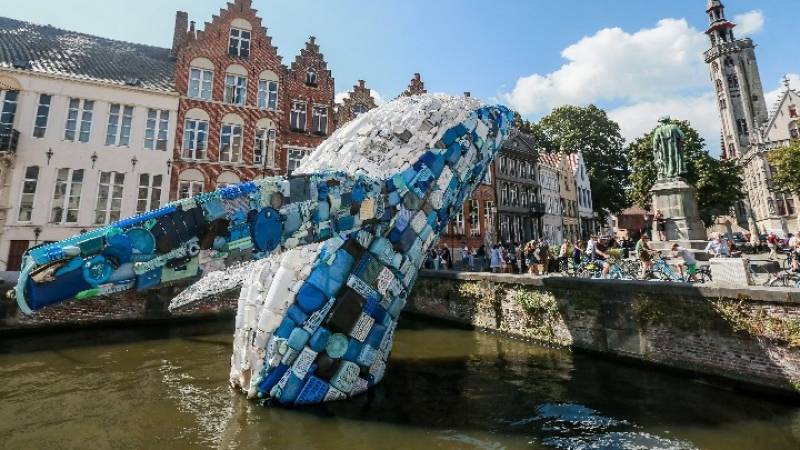 Βέλγιο: «Ουρανοξύστης» φάλαινα από πλαστικά απορρίμματα