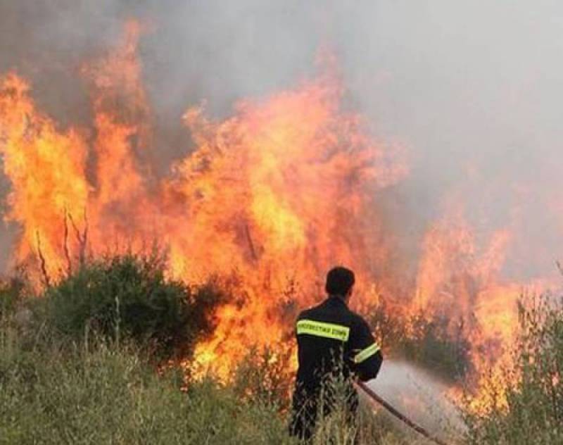 Φωτιά σε αγροτική έκταση στο Δήμο Οιχαλίας