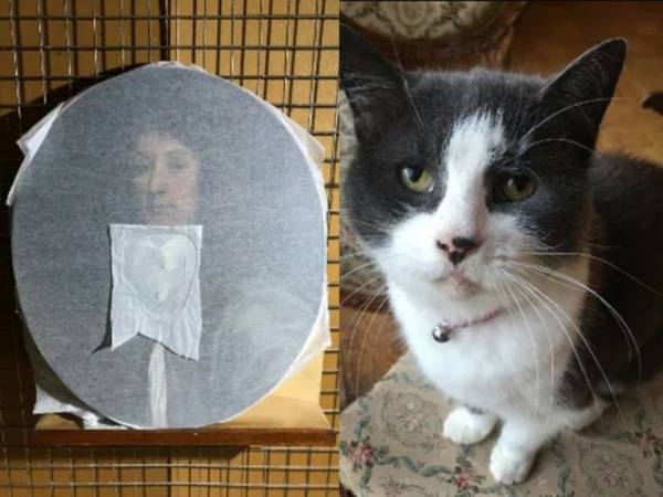 Γάτα κατέστρεψε πίνακα του 17ου αιώνα