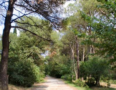 Απογευματινούς περιπάτους διοργανώνει ο Ε.Ο.Σ. Τρίπολης