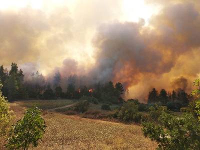Πύργος: Σε εξέλιξη φωτιά στην περιοχή Άγναντα της Ηλείας