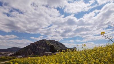 Το φως της ημέρας ενισχύει το ανοσοποιητικό σύστημα