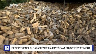 Περιορισμένες οι παραγγελίες για καυσόξυλα εν όψει του χειμώνα (Βίντεο)