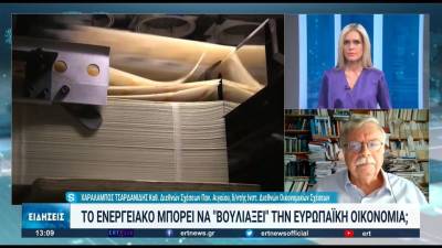 Χ. Τσαρδανίδης: &quot;Η Ρωσία φαίνεται να επιδιώκει κοινωνική αναστάτωση στην ΕΕ&quot; (βίντεο)