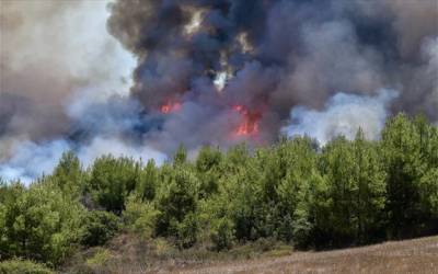 Βελόπουλος: &quot;Εκτός εθνικού σχεδίου αναδάσωσης τα καμένα δάση της Μεσσηνίας&quot;