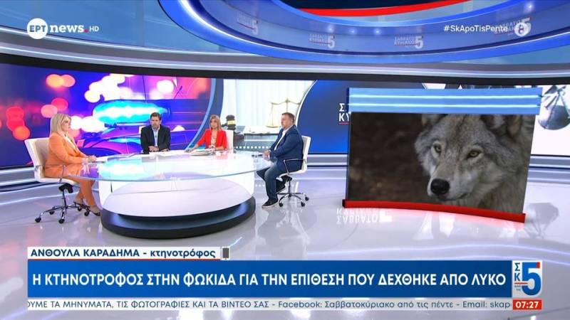 Ανθούλα Καραδήμα: Η κτηνοτρόφος στην Φωκίδα για την επίθεση που δέχτηκε από λύκο