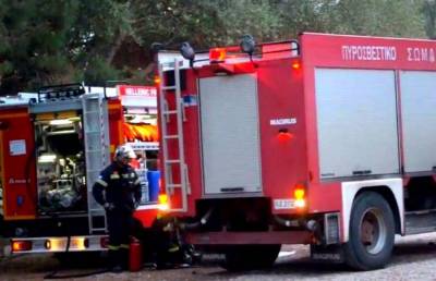 Μεσσηνία: Πυρκαγιές σε Βασιλάδα και Σωτηριάνικα