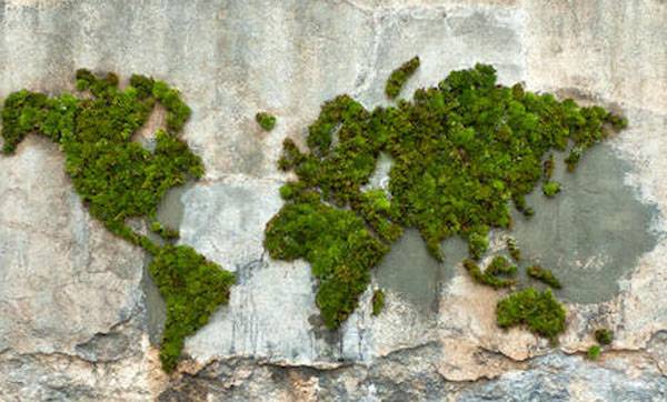 Η ΛΑΕ Μεσσηνίας για την Παγκόσμια Ημέρα Περιβάλλοντος 