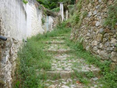 Υπόμνημα φορέων για καλντερίμια της Βέργας