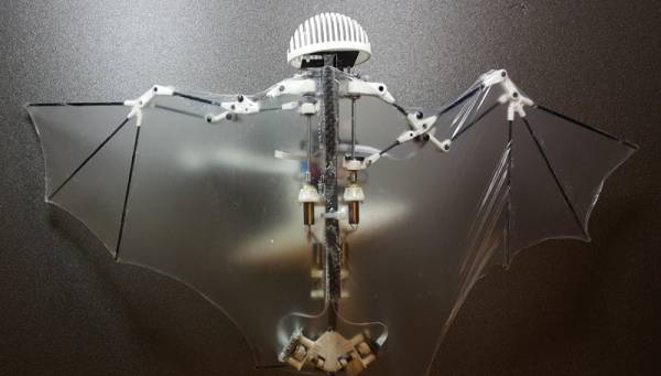 Δημιουργήθηκε το πρώτο ρομπότ-νυχτερίδα!