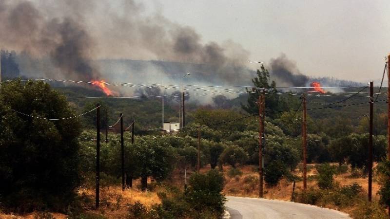 Οριοθετημένη και χωρίς ενεργό μέτωπο η πυρκαγιά σε δασική έκταση στον Ωρωπό - Αποκαταστάθηκε η κυκλοφορία των οχημάτων