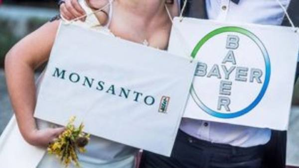 Η Bayer εξαγοράζει την Monsanto εντός της εβδομάδας