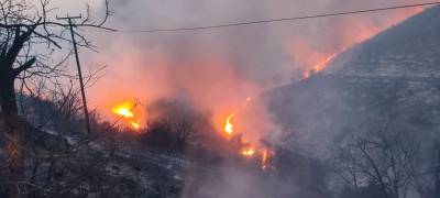 Η Λαϊκή Συσπείρωση για τις πυρκαγιές σε Μεσσηνία, Λακωνία και Κορινθία