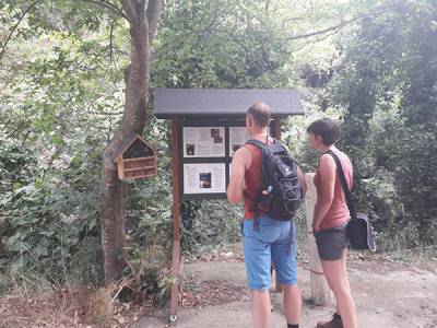 Συνδιάσκεψη για το ΟΧΕ Ταϋγέτου