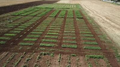 Η γνώση στο χωράφι: Το σχέδιο για μια νέα εποχή αγροτικής εκπαίδευσης στην Ελλάδα