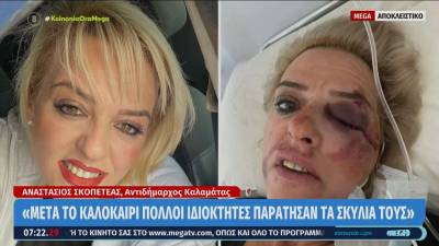 Καλαμάτα: Πανελλαδική διάσταση πήρε ο τραυματισμός γυναίκας σε τροχαίο από αδέσποτα (βίντεο)