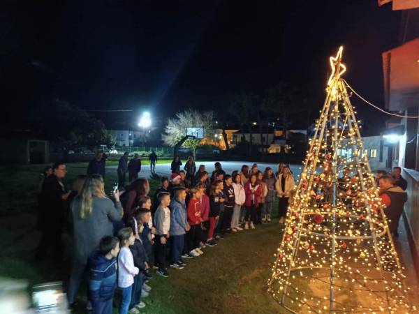 Φωταγωγήθηκε το χριστουγεννιάτικο δέντρο στο Δημοτικό Μεθώνης