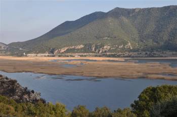 Ξεκινάει η ερευνητική κοπή καλαμιών στη Στυμφαλία