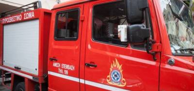 Φωτιά σε αγροτοδασική έκταση στην περιοχή του Δωρίου – Ισχυρές πυροσβεστικές δυνάμεις στο σημείο