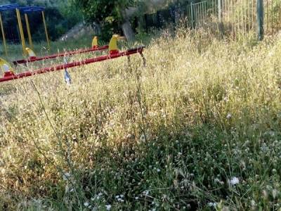 Περιμένουν και φίδια